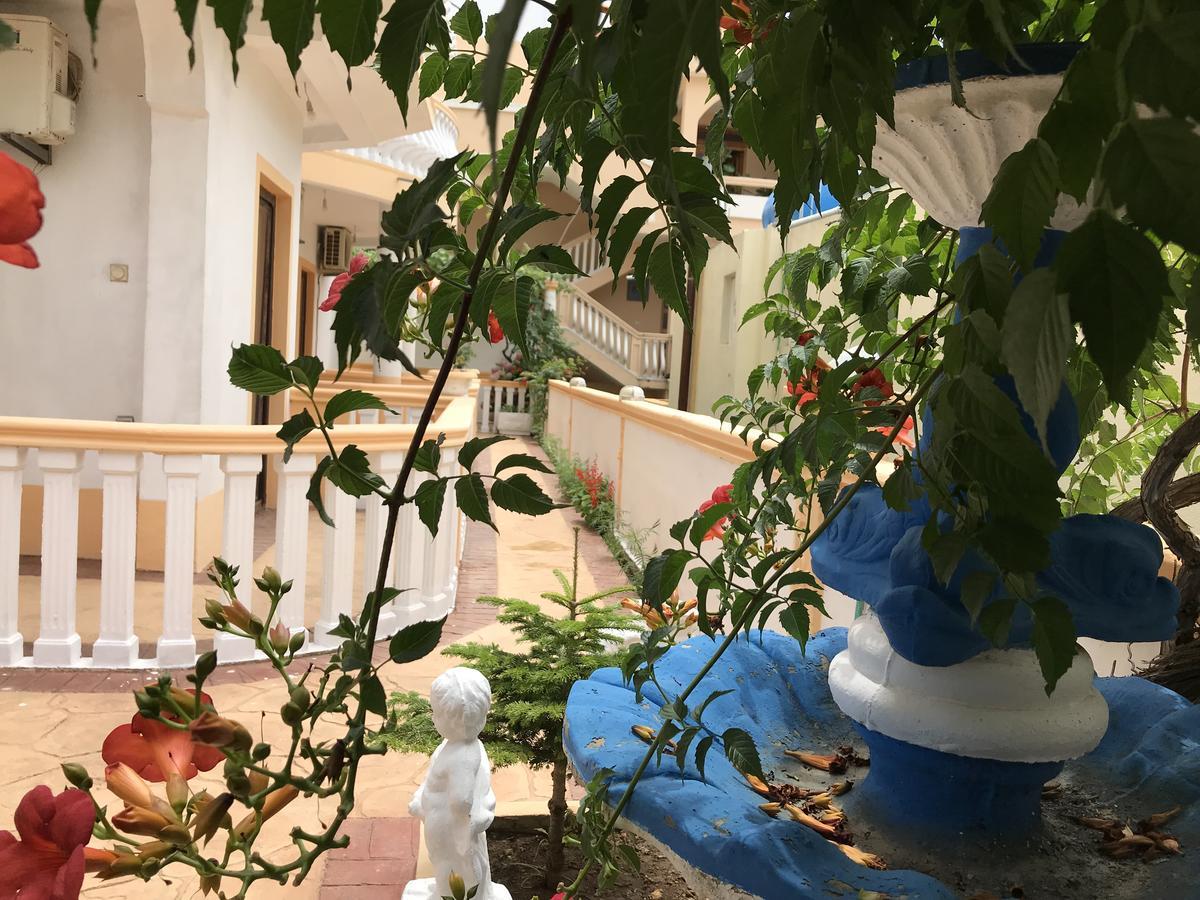 Apartments Delfin 乌尔齐尼 外观 照片