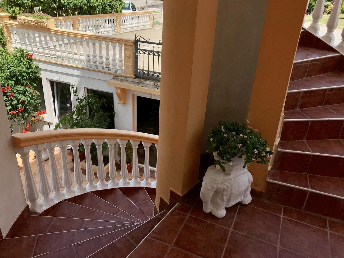 Apartments Delfin 乌尔齐尼 外观 照片